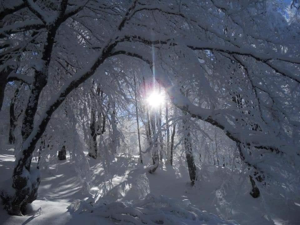 Stara Planina Vila Vesela Kuca Jalovik Izvor 外观 照片