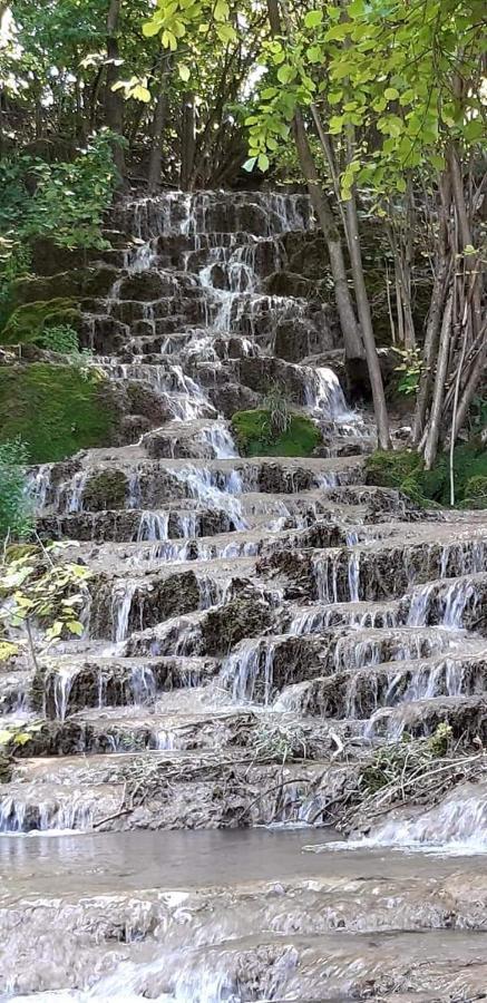 Stara Planina Vila Vesela Kuca Jalovik Izvor 外观 照片