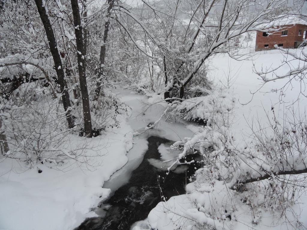 Stara Planina Vila Vesela Kuca Jalovik Izvor 外观 照片