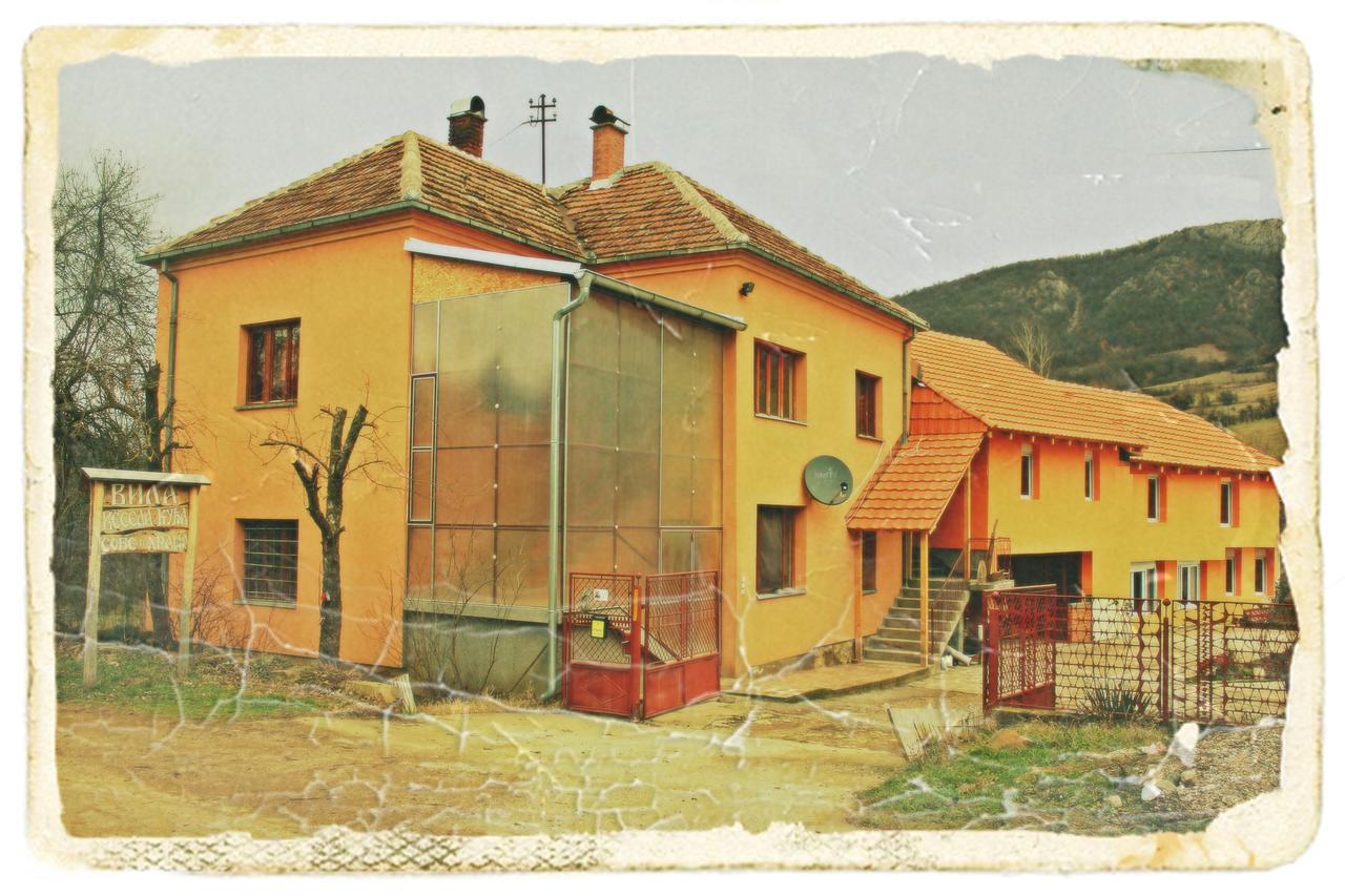 Stara Planina Vila Vesela Kuca Jalovik Izvor 外观 照片